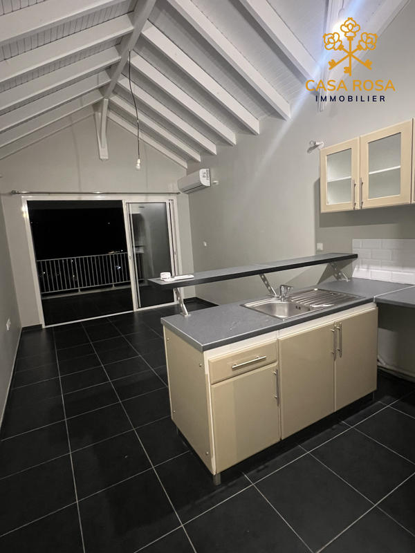 Appartement - 46 m² - 1 pièce