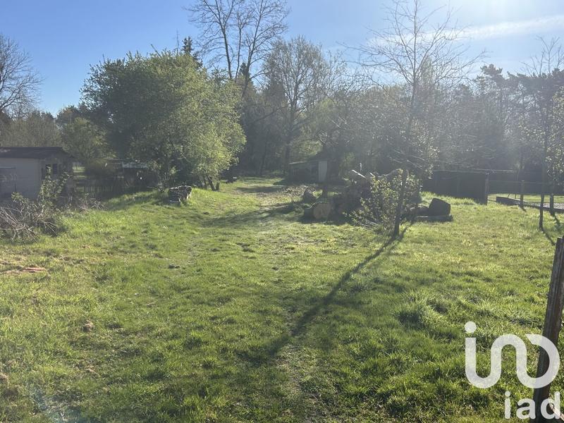 Terrain - 12 202 m²