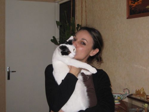 Anigarde services animaliers