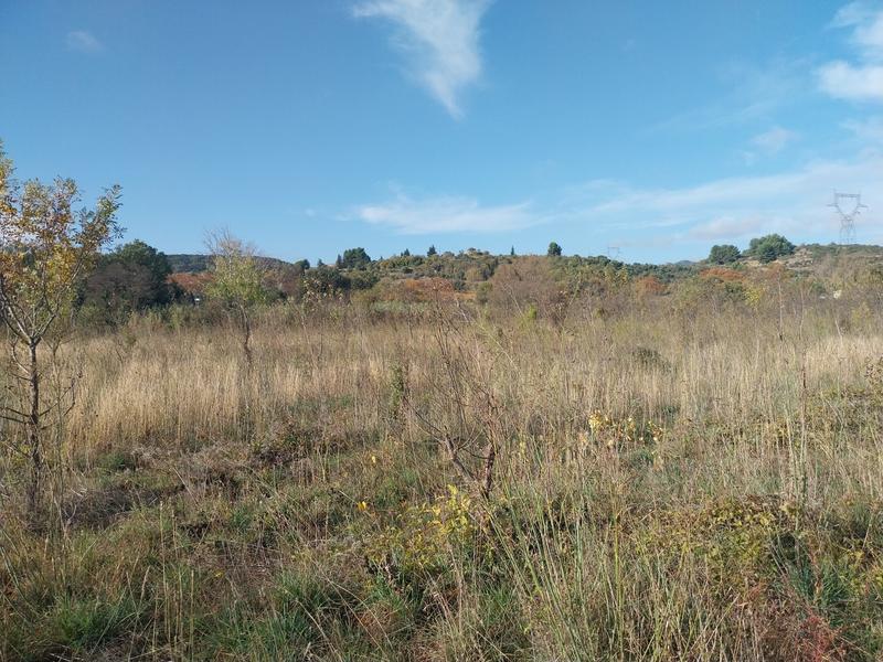 Terrain agricole - 36 175 m²