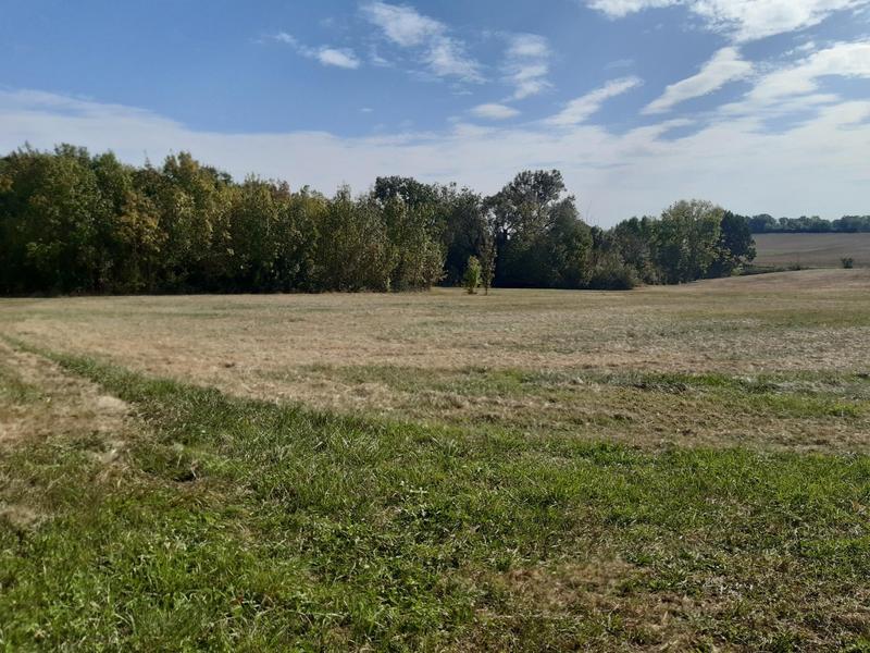 Terrain constructible - 8 711 m²