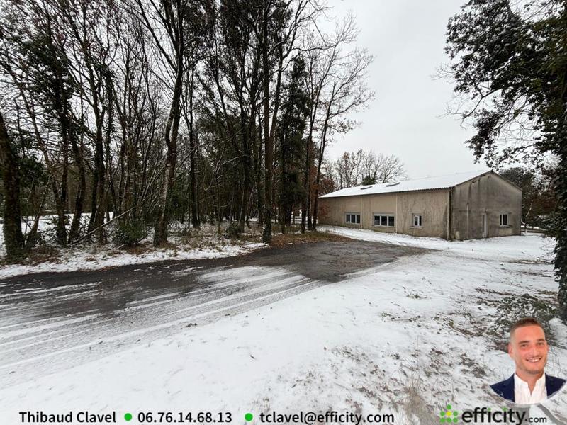 Entrepôt - 217 m² - 2 pièces