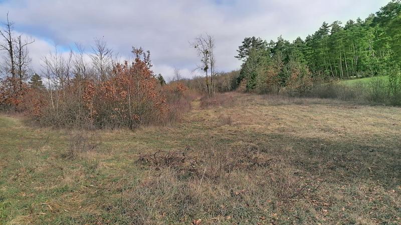 Terrain - 63 112 m²