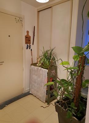 Appartement - 71 m² - 4 pièces