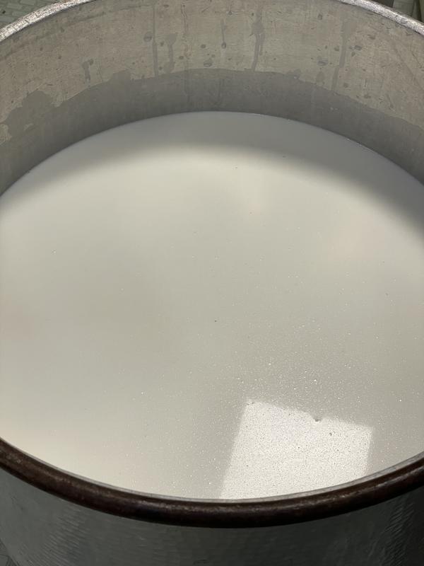 Démonstration de fabrication de fromage par un producteur