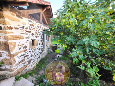 Appartement - 18 m² - 1 pièce