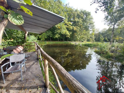 Terrain - 46 300 m²