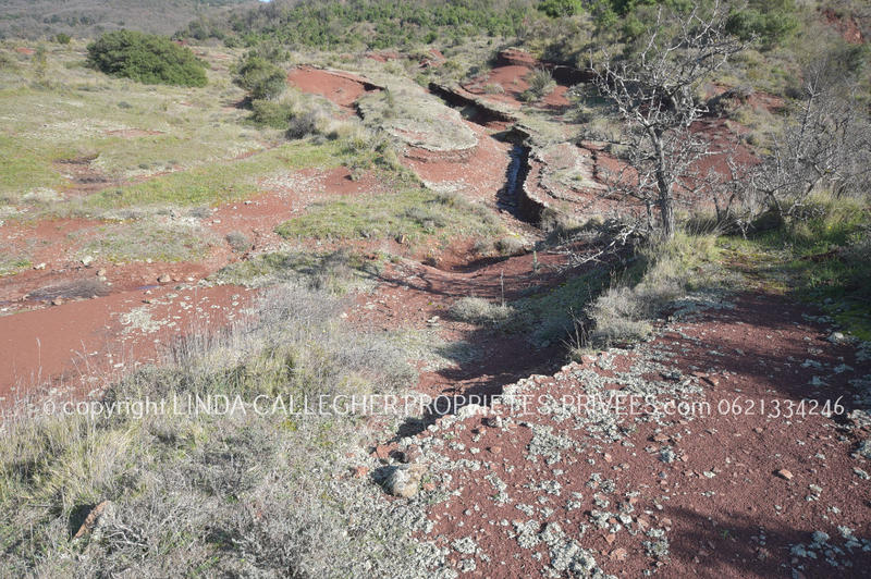 Terrain agricole - 44 350 m²