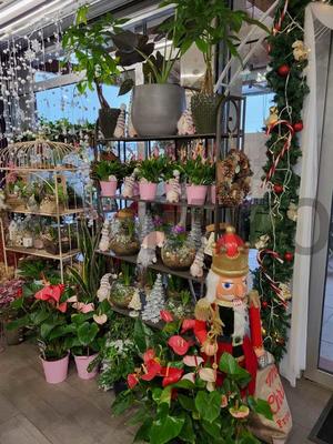 Fonds de commerce - Magasins - 50 m²