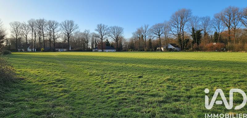 Terrain - 13 127 m²