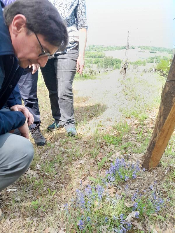 Le sentier des 5 sens au Domaine les Hauts de Riquets balade gourmande