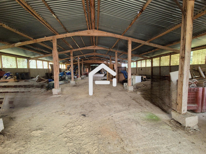 Maison de maîtres - 299 m² - 7 pièces