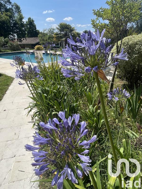 Maison - 230 m² - 6 pièces