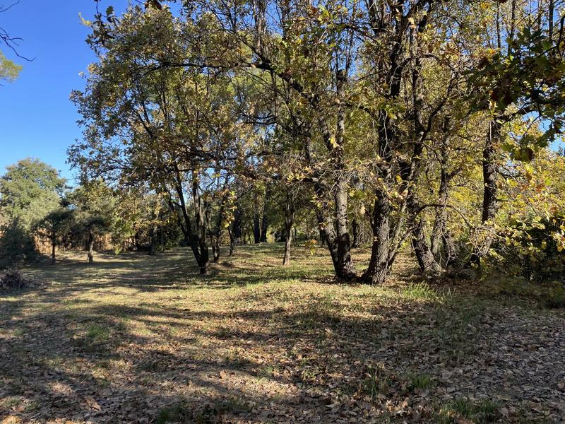 Villa - 153 m² - 6 pièces