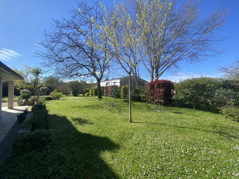 Viager - Maison - 232 m² - 7 pièces