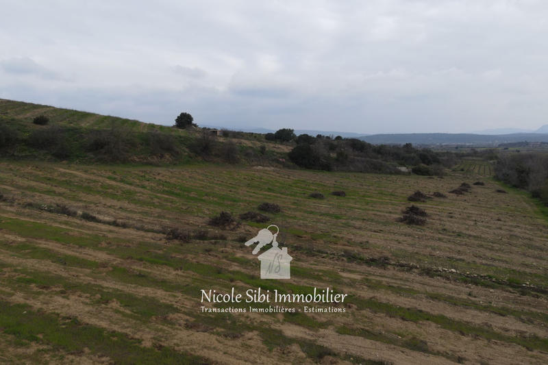 Terrain agricole - 40 428 m²