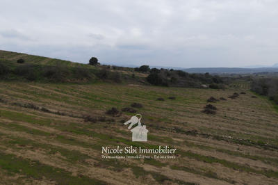 Terrain agricole - 40 428 m²