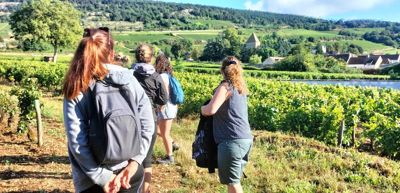 Sur les Pas du Vigneron
