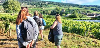 Sur les Pas du Vigneron