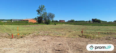 Terrain - 1 241 m²