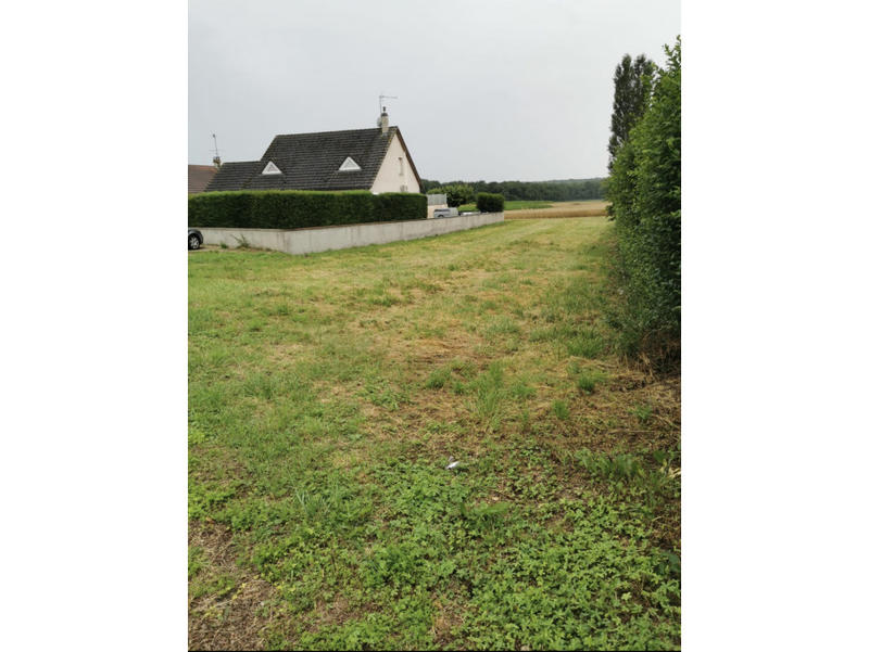Terrain - 714 m²