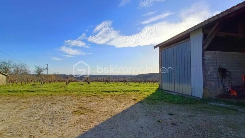 Propriété viticole - 472 m² - 14 pièces