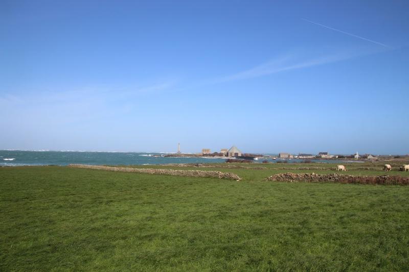 Sortie nature "A la découverte du Cap de la Hague"