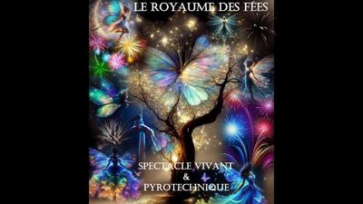Spectacle féerique et pyrotechnique &quot; le Royaume des Fées&quot;