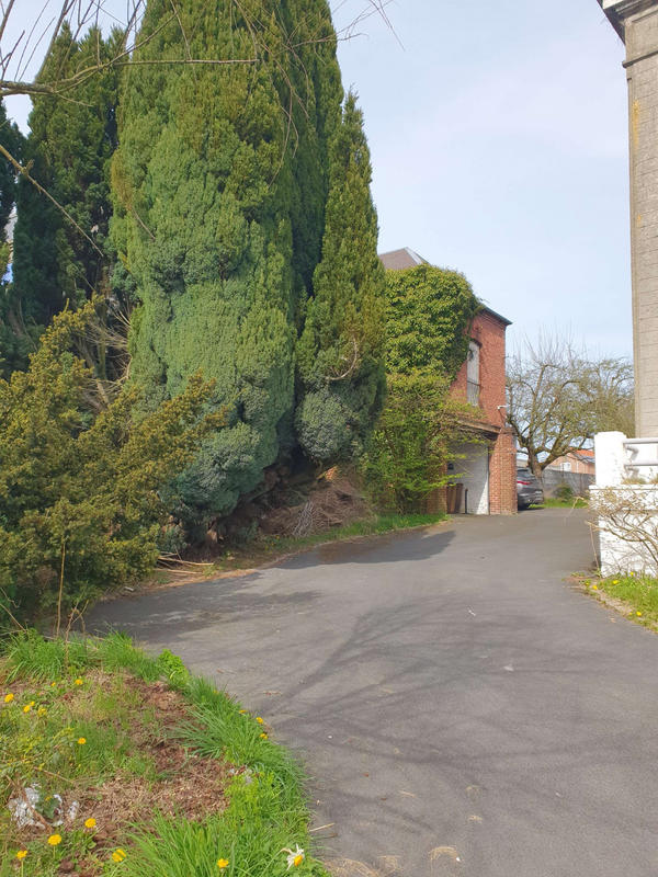 Maison - 266 m² - 7 pièces