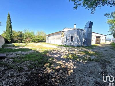 Local commercial - 781 m²