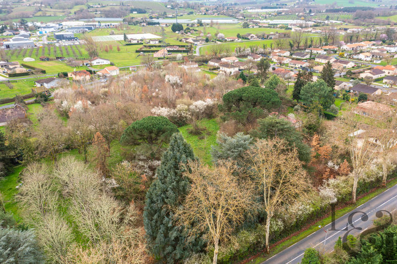 Terrain - 10 694 m²