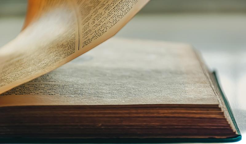 Poésie - Rencontre avec Seyhmus Dagtekin