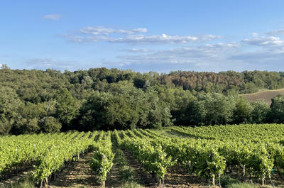 Propriété - 585 m² - 17 pièces