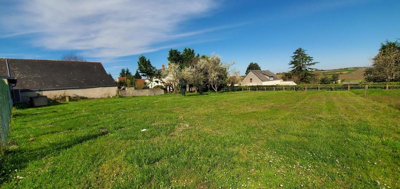 Terrain - 1 229 m²