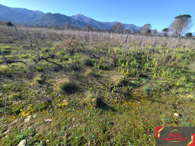 Terrain agricole - 18 000 m²