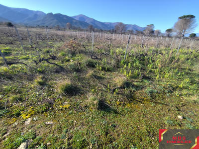 Terrain agricole - 18 000 m²