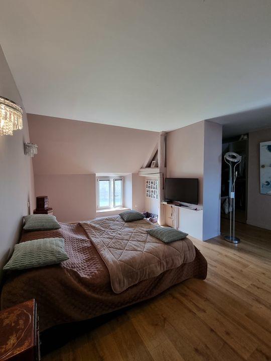 Maison chambre d'hôtes - 354 m² - 11 pièces