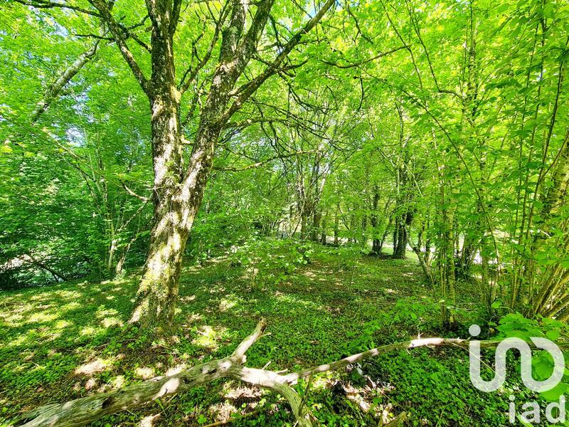 Maison de campagne - 92 m² - 5 pièces