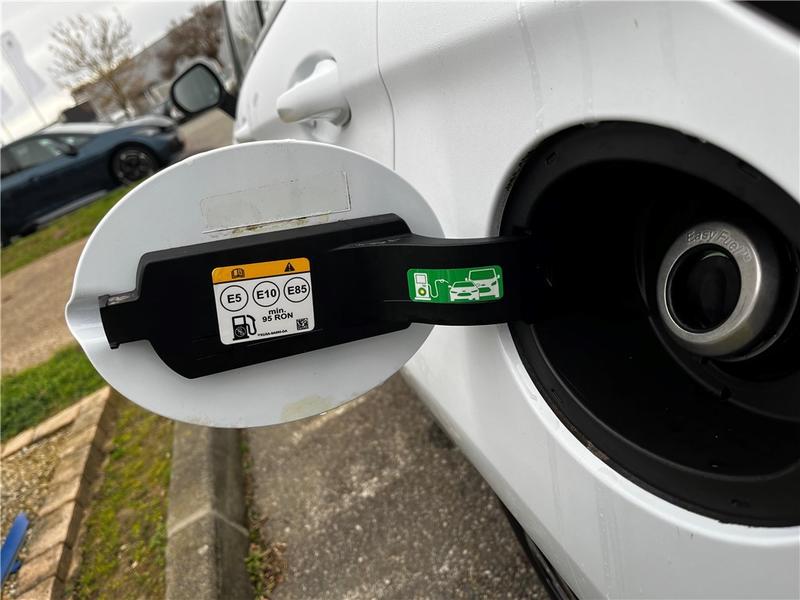 Ford Fiesta VII 1.0 Flexifuel 95 Ch s&amp;S Bvm6 Titanium Business