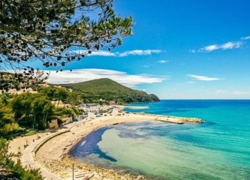 Appartement - 24 m² - 1 pièce