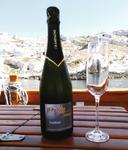 Domaine viticole Champagne Coche