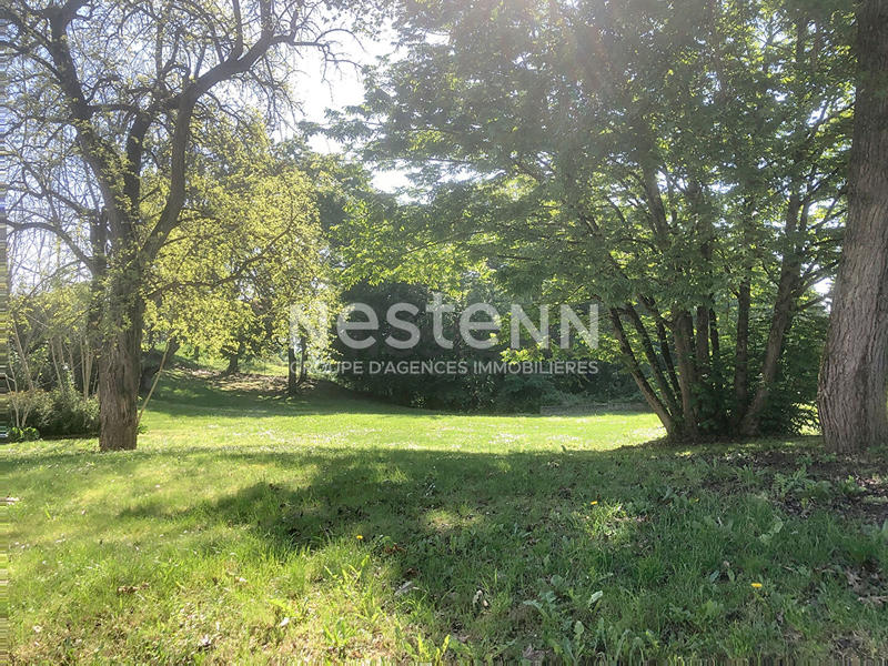 Appartement - 50 m² - 1 pièce