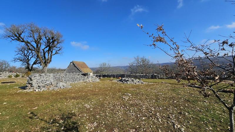 Terrain - 80 524 m²