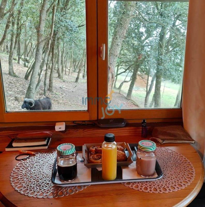 Propriété - 250 m² - 11 pièces