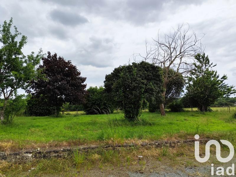 Maison - 150 m² - 4 pièces