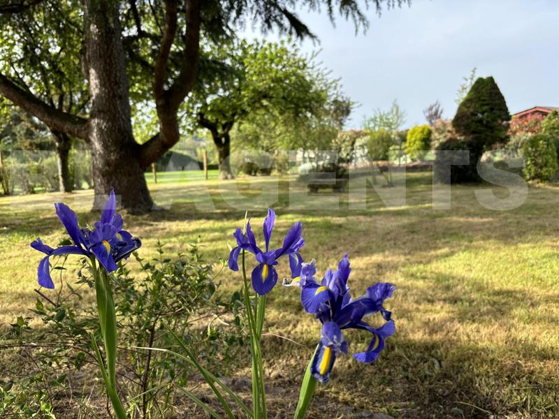 Maison traditionnelle - 110 m² - 5 pièces