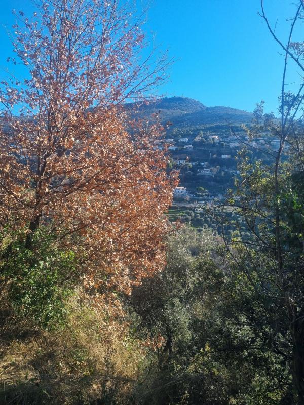 Terrain de loisirs - 1 520 m²