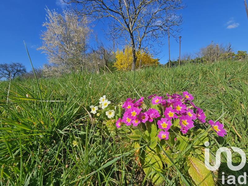 Maison de village - 164 m² - 6 pièces