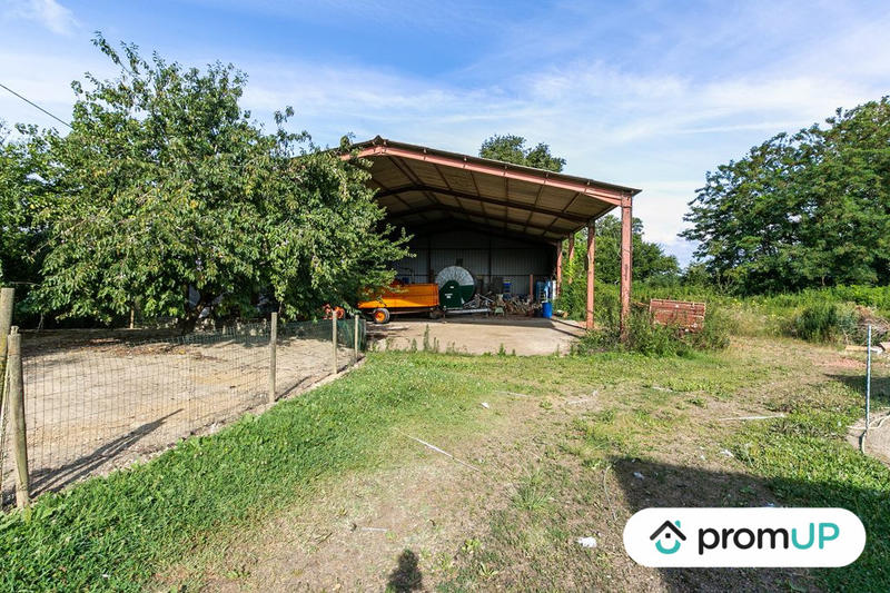 Terrain agricole - 5 000 m²