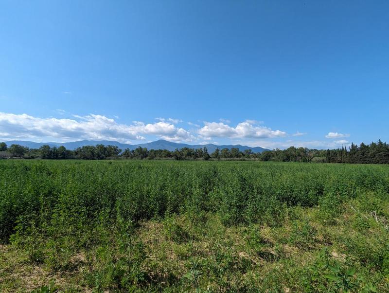 Terrain agricole - 69 131 m²